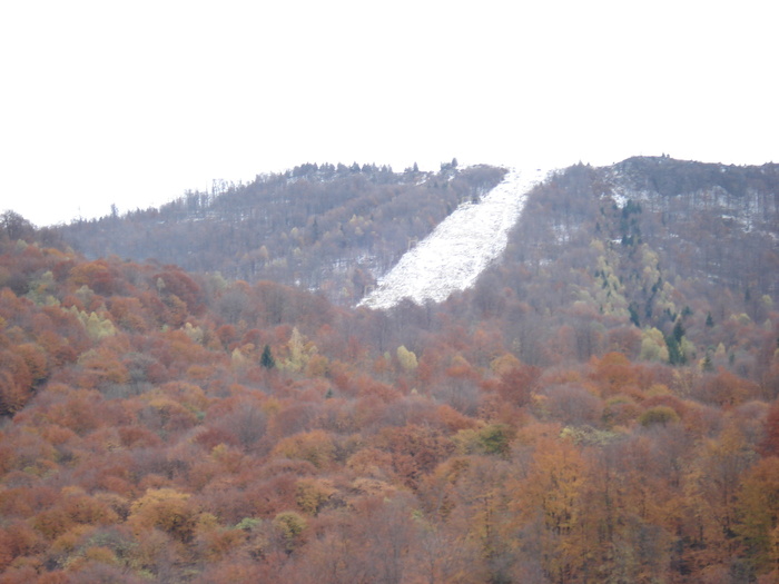 Pirtia Mogosa in zare ,cu un degetel de zapada