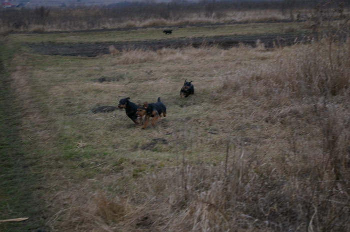 Radar, Kira si Bessi - Radar