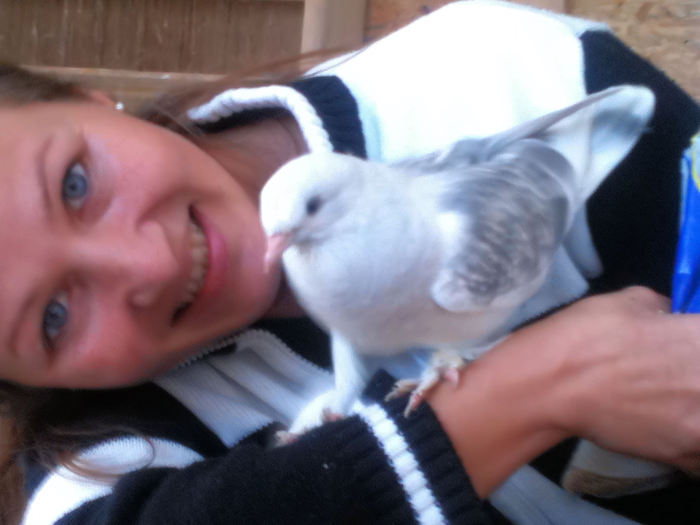 copie 019; ultimu pui 2010
