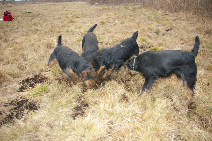 Radar,Kira, Moha si Bessi - Radar