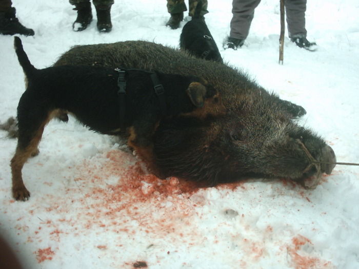 Radar si Bessi - Radar