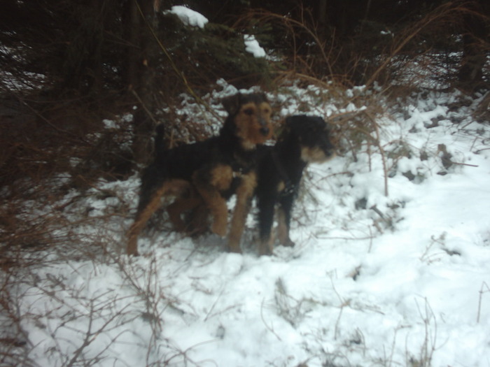 Radar es Bessi - Radar