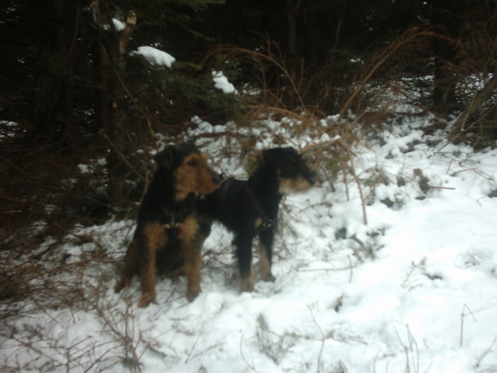 Radar es Bessi - Radar