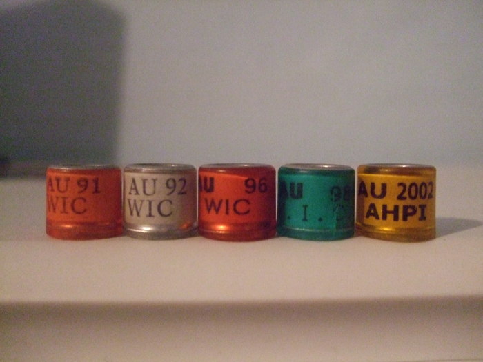 america 91,92,96,02 - COLECTIA NOASTRA DE INELE--ring collection