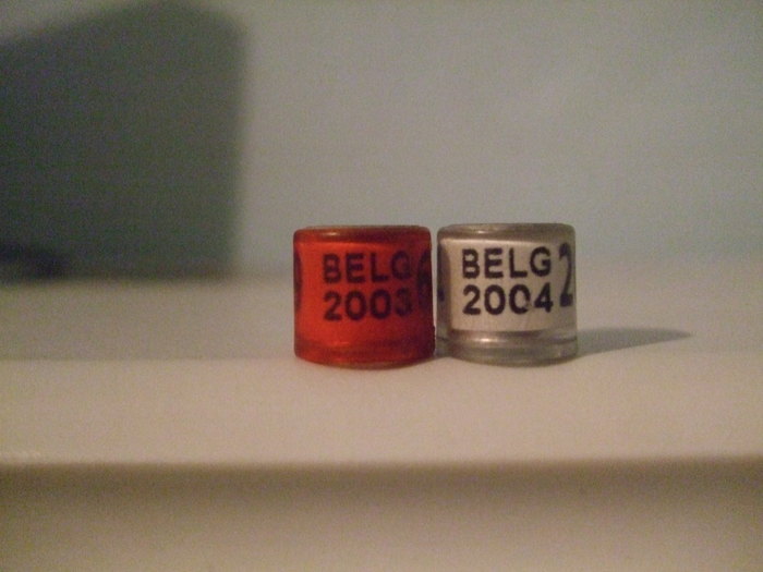 belgia 03,04 - COLECTIA NOASTRA DE INELE--ring collection