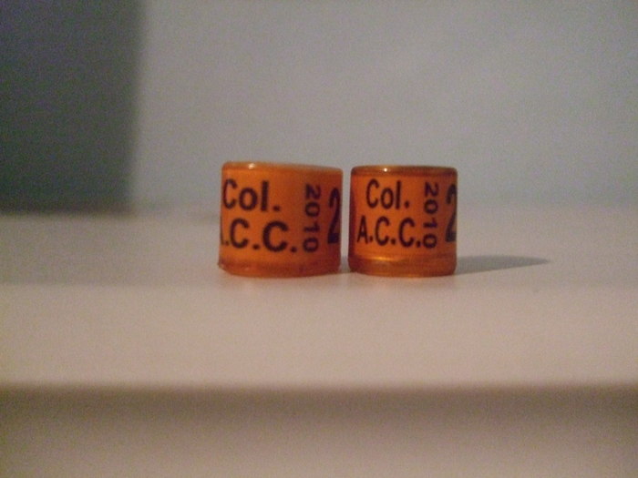 columbia ,10 - COLECTIA NOASTRA DE INELE--ring collection