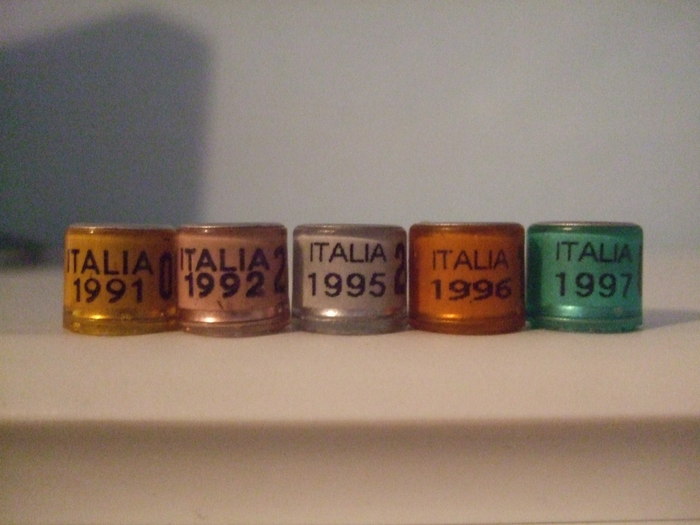 italia 91,92,95,96,97 - COLECTIA NOASTRA DE INELE--ring collection