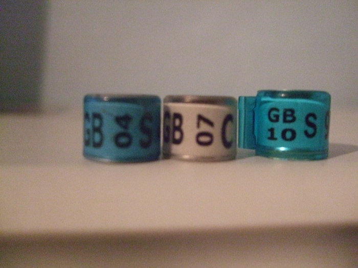 marea britanie 04,07,10