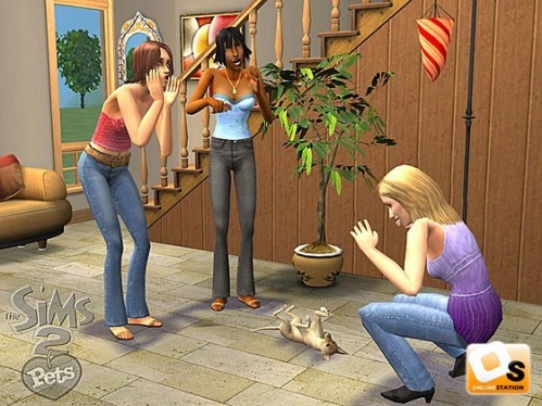  - Sims 2