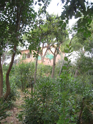 IMG_9253 - 09 - Spania - 5 - Barcelona