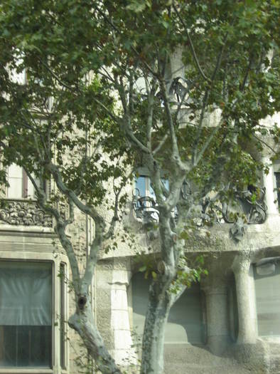 IMG_9351 - 09 - Spania - 5 - Barcelona