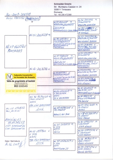 Schneider - Starurile-Pedigree