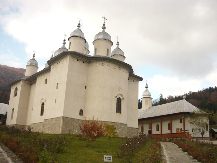 P1030322 - Baltatesi 2010