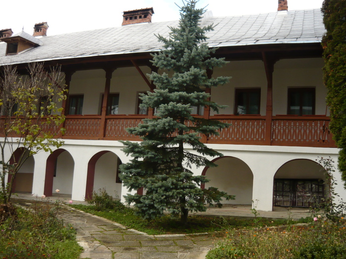 P1030325 - Baltatesi 2010