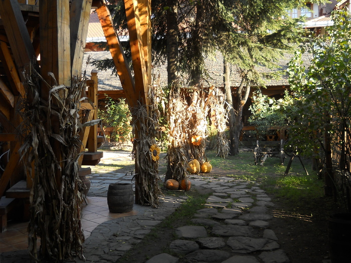 toamna in... - diverse ipostaze