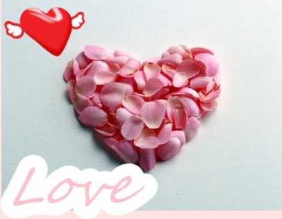 Flower - Love Valentine day