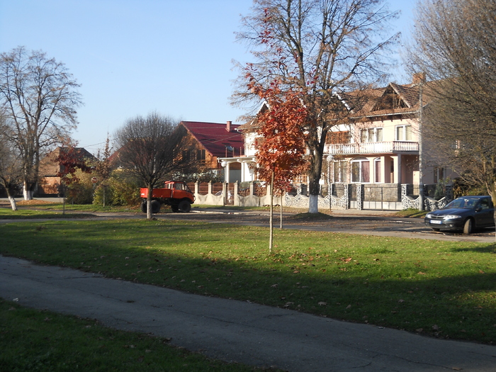 Picture 083 - toamna in parc