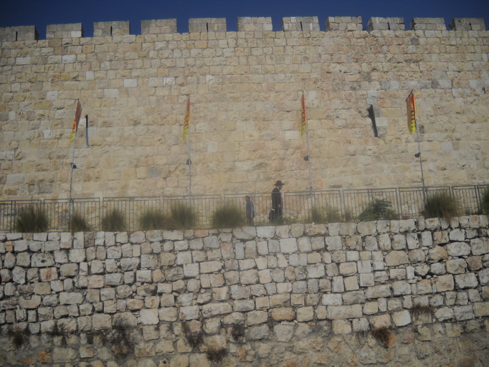 Picture 191
