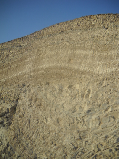 Picture 322