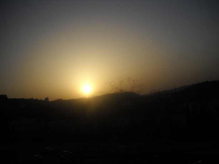 APUS DE SOARE
