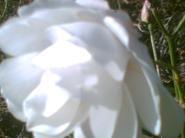 Imag005