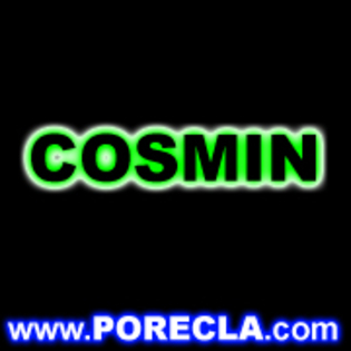 144-COSMIN%20Copy%20of%20bun[1]