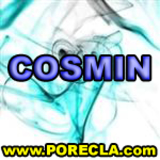 144-COSMIN%20manager[1]