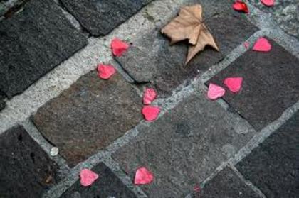 images (3) - Inimioare