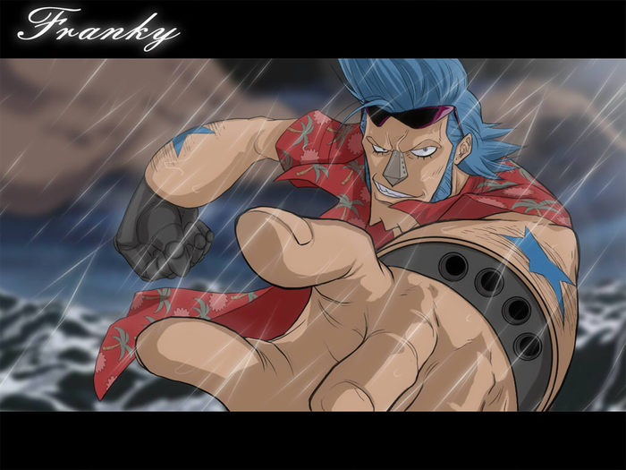 3fb021b494b83a15df129cc98c760dd50b150a62 - One Piece FranKy