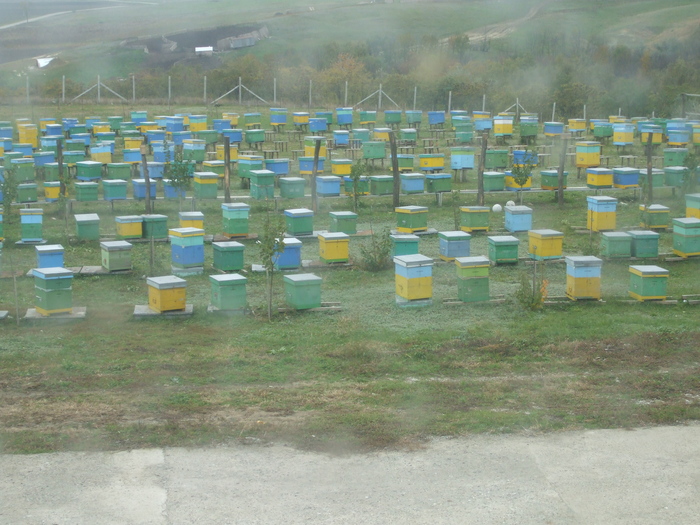 DSCF3112