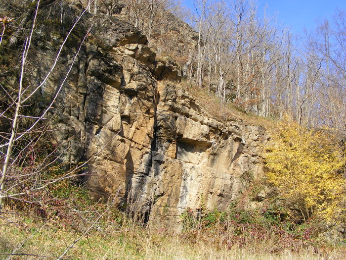 DSCF6013 - 29 oct 2010 Biserica Vacilor -valea Lapusului