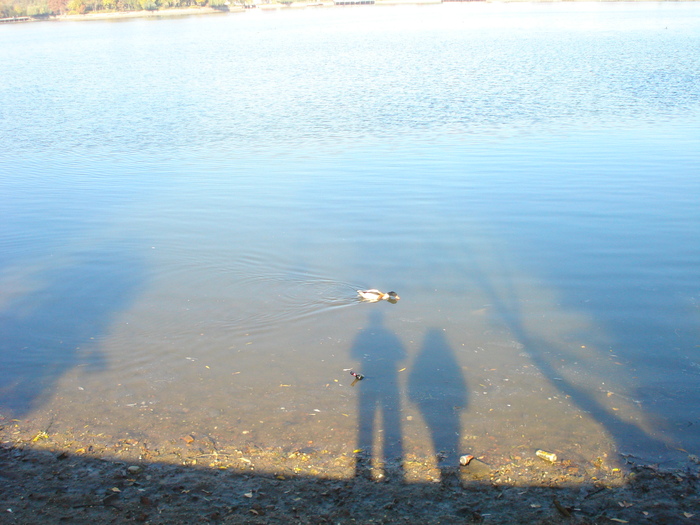 NE MANANCA RATA UMBRA:)) - EU