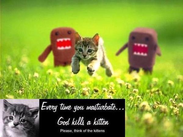 funnyjunk_godkills - bancuri cu pisici