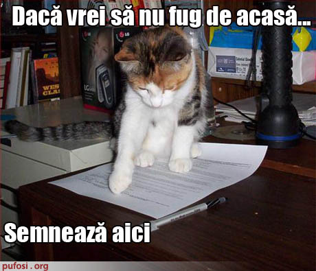 Pisica te pune sa semnezi