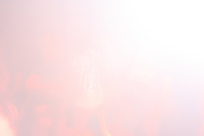 IMG_7590 - Halloween Party - Part 2