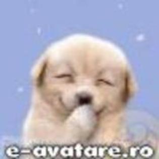 22871090_FOCKZUWIX - 00 o gramada de poze puse de o mie de ori 00