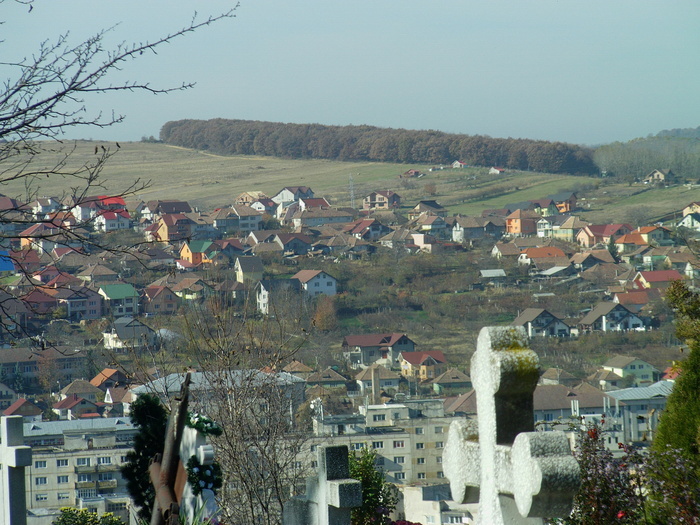 padurea din dva vazut din cimitir - zalau zona porolisum si cimitir