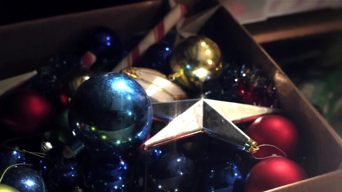 Debby Ryan - Deck the Halls Music Video (Santa Paws)  [HD 720p] 057