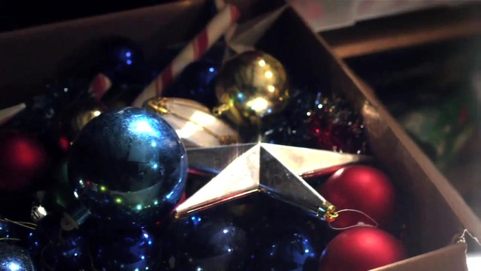 Debby Ryan - Deck the Halls Music Video (Santa Paws)  [HD 720p] 058