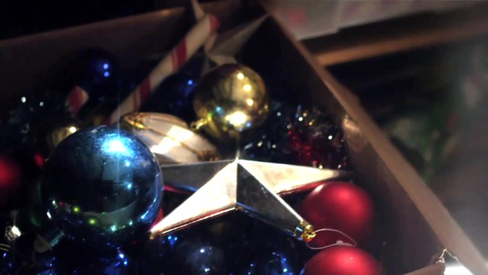 Debby Ryan - Deck the Halls Music Video (Santa Paws)  [HD 720p] 059