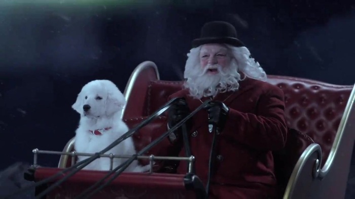 Debby Ryan - Deck the Halls Music Video (Santa Paws)  [HD 720p] 079