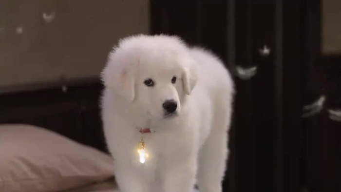 Debby Ryan - Deck the Halls Music Video (Santa Paws)  [HD 720p] 340