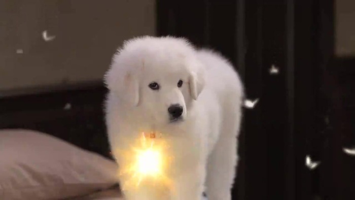 Debby Ryan - Deck the Halls Music Video (Santa Paws)  [HD 720p] 341