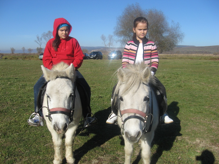 IMG_8525 - ECHITATIE 2010