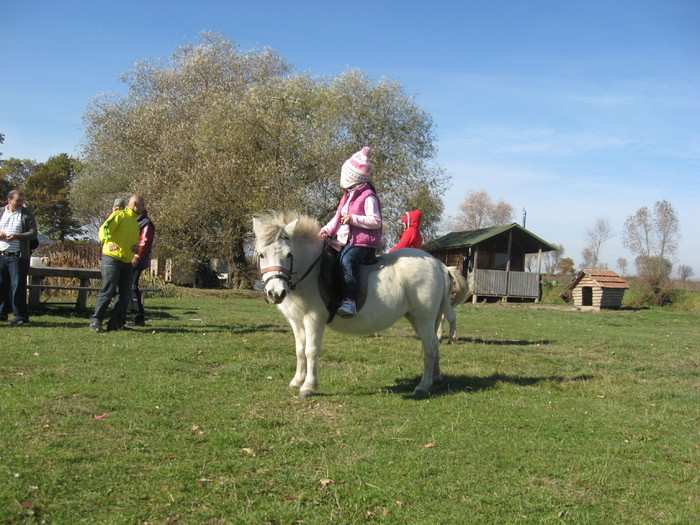 IMG_8323 - ECHITATIE 2010