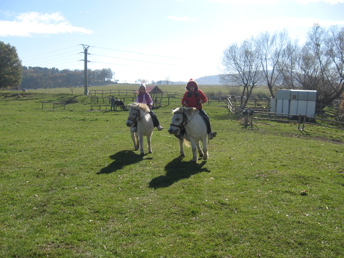 IMG_8326 - ECHITATIE 2010