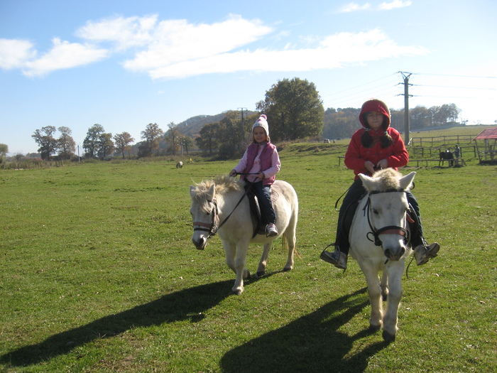 IMG_8327 - ECHITATIE 2010