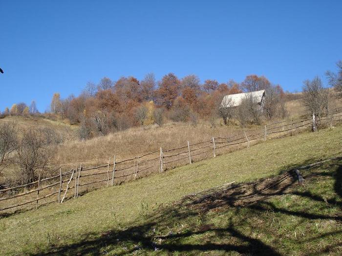 DSC00023 - Poze Valea Barni-2010