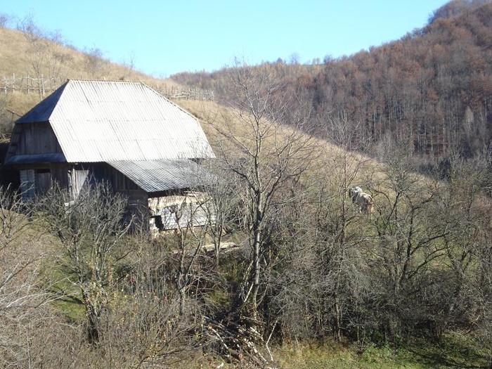 DSC00158 - Poze Valea Barni-2010