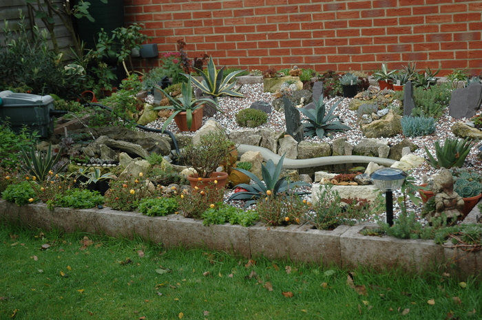 DSC_1072 - Rockery